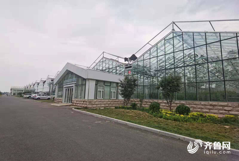 高端智庫看山東 如何豐富“壽光模式”內(nèi)涵？專家支招 結合新發(fā)展機遇，用數(shù)字經(jīng)濟賦能產(chǎn)業(yè)，推廣新材料技術