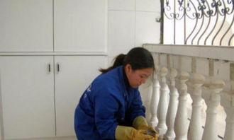 專業保潔服務全解析 從家庭到工廠，從基礎到精細